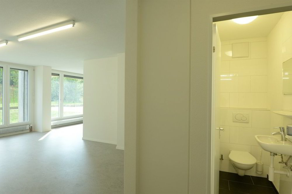 Gewerbemöglichkeiten in Schlieren - Mehr