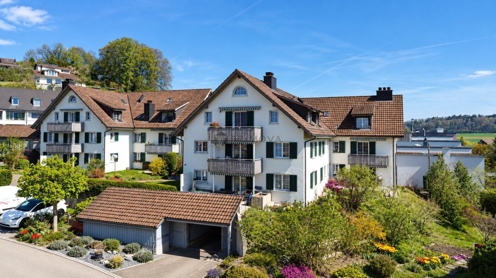 Appartement 3.5 pièces à acheter à Schneisingen - image 1/14