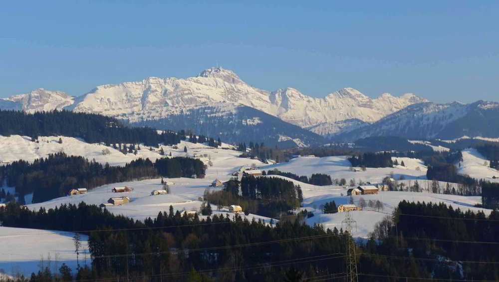4.5 rooms House for rent in Waldstatt - image 1/10