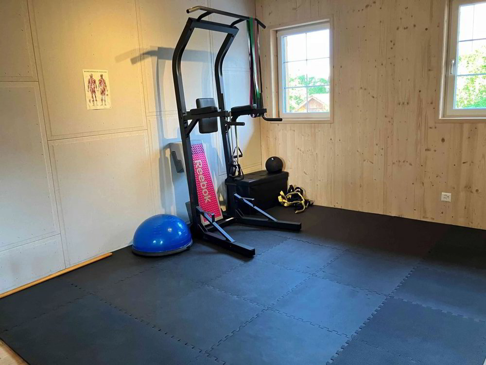 Praxis- und Trainingsraum in Wetzikon (Robenhausen) als Untermiete - Ansicht 5