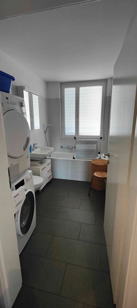 Appartamento di 4.5 locali in affitto a Wallisellen - immagine 1/9
