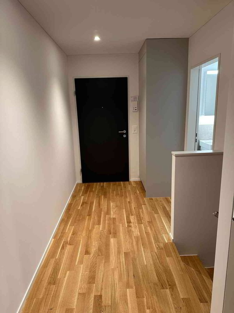 2.5 rooms Apartment for rent in Zürich - image 1/12