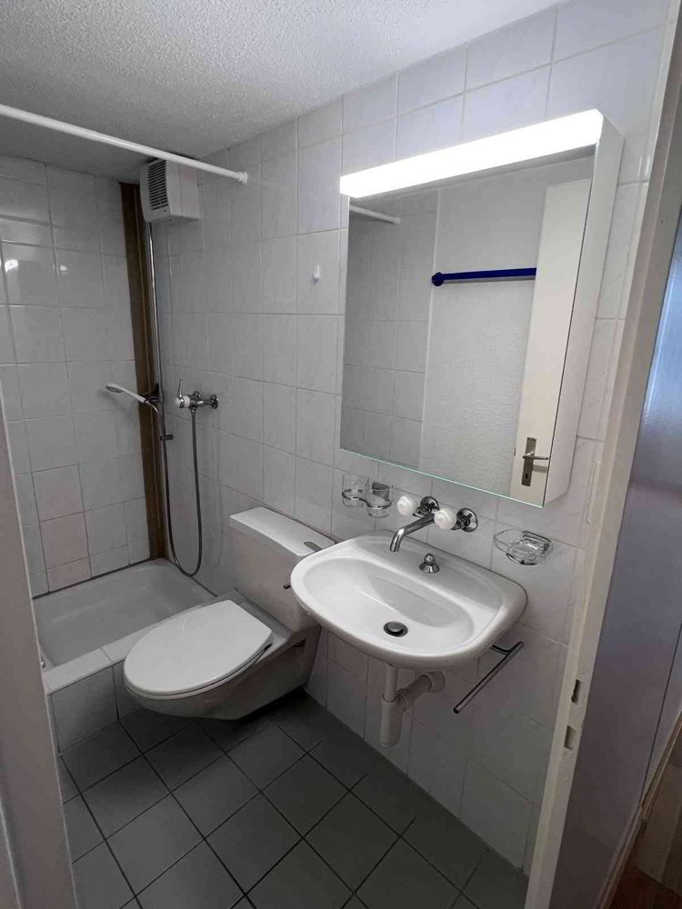 Wohnung – St. Gallen - Mehr