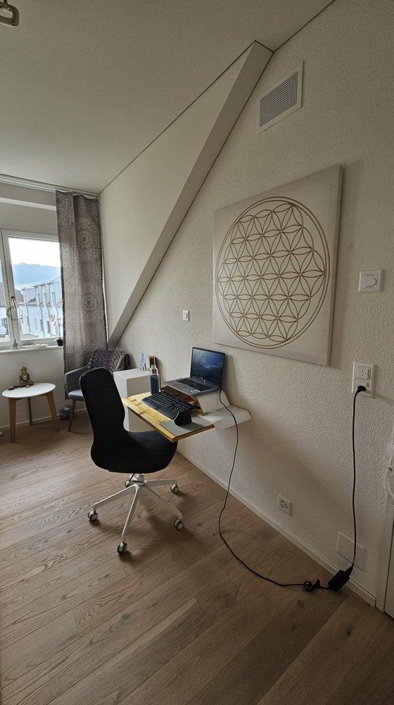 Wohnung – Schneisingen - Ansicht 4