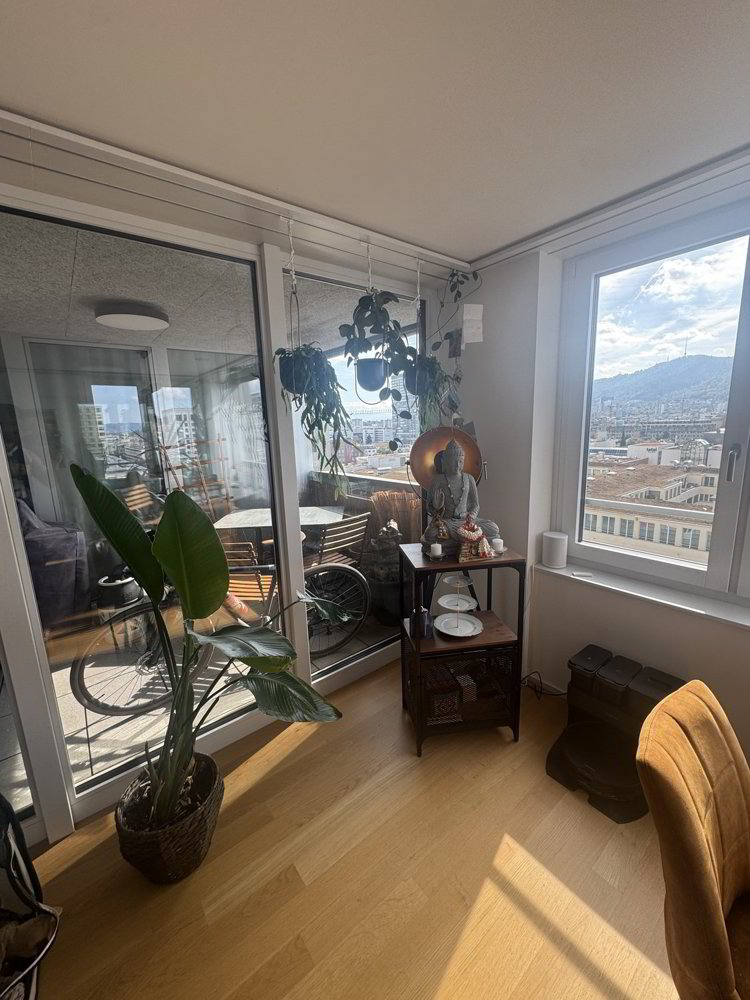 Wohnung – Zürich, Altstetten, Kreis 9 - Ansicht 5