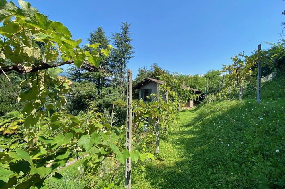 5 rooms House to buy in Vairano - image 1/13