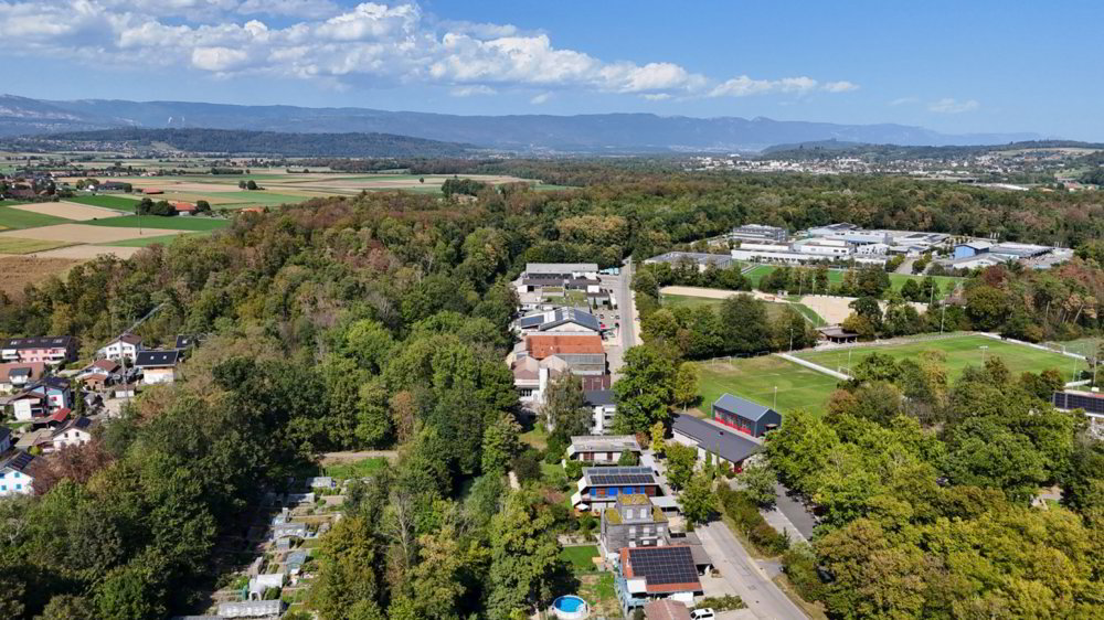 2 rooms Office & Commercial to buy in Aarberg - image 1/9