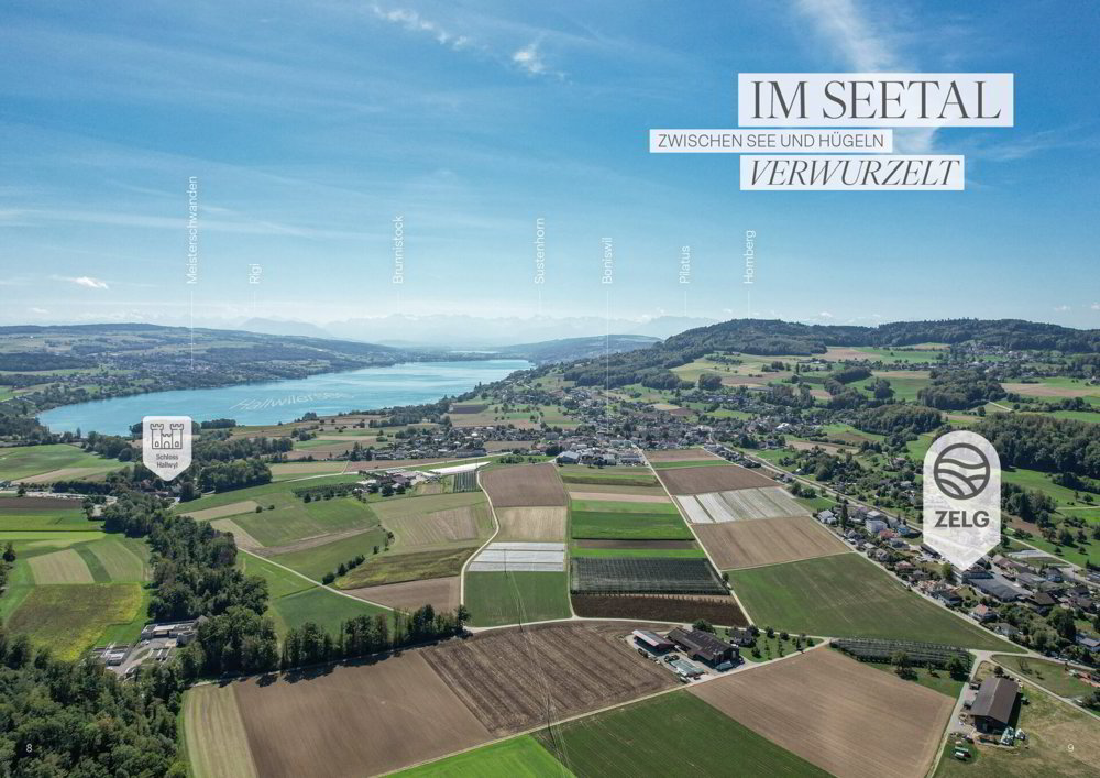4.5 rooms Apartment to buy in Hallwil - image 1/7