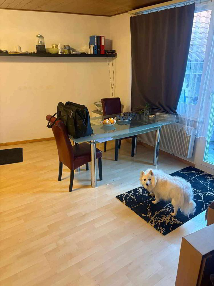 4.5 rooms Apartment for rent in Balterswil - image 1/13