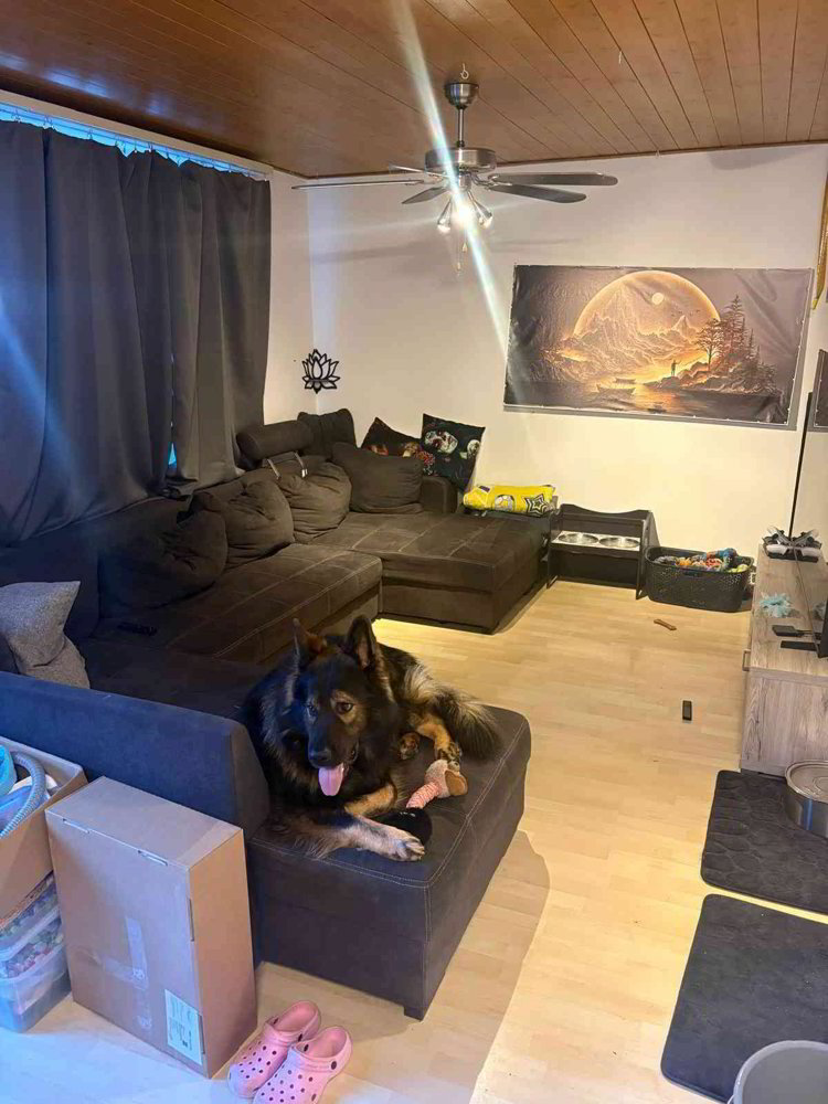 Wohnung – Balterswil - Ansicht 4
