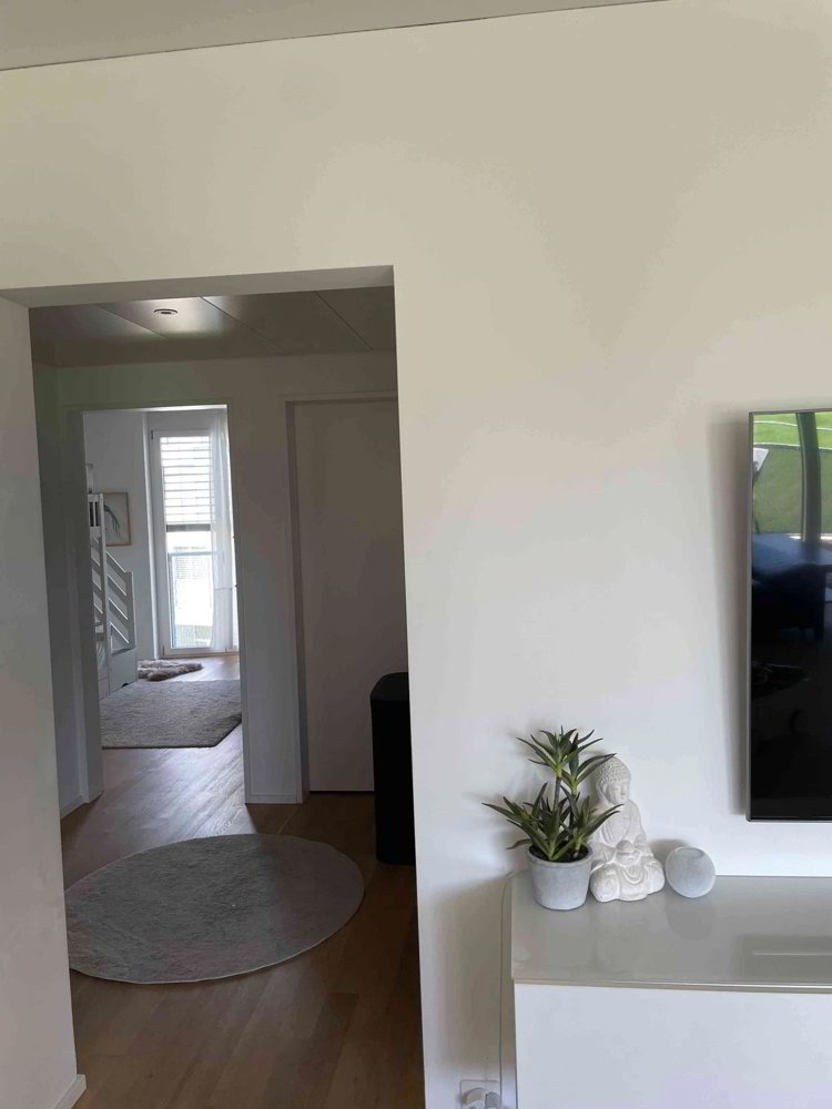 4.5 rooms Apartment for rent in St. Gallen - image 1/13