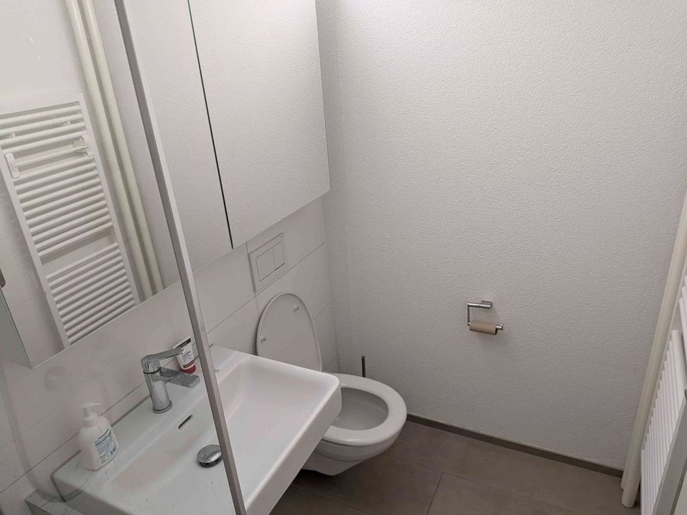 Appartamento di 2.5 locali in affitto a Adliswil - immagine 1/10