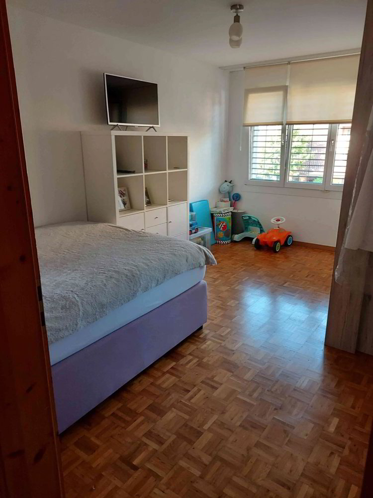 Appartement 5.5 pièces à louer à Buchs SG - image 1/12