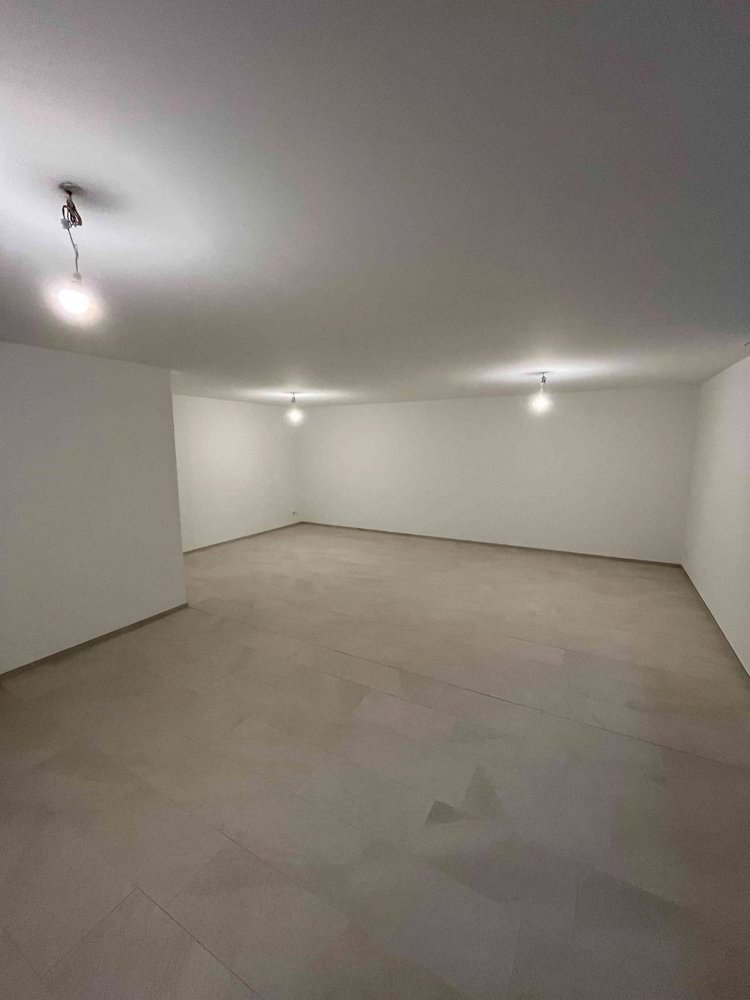 Studio/Atelier 50 m² mit WC Erstbezug Baujahr 2026 - Ansicht 5