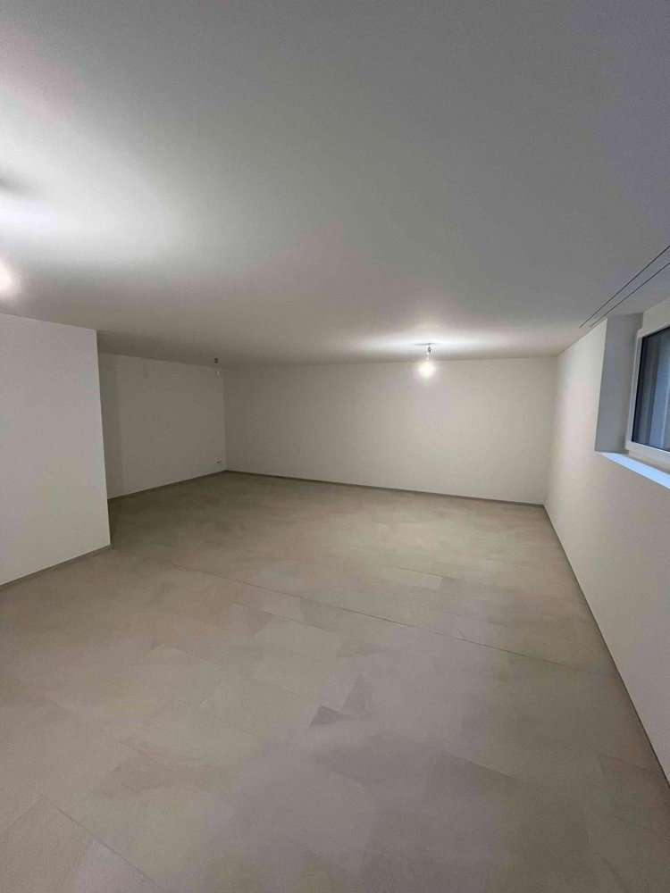 1 rooms Office & Commercial for rent in Oberwil BL - image 1/7