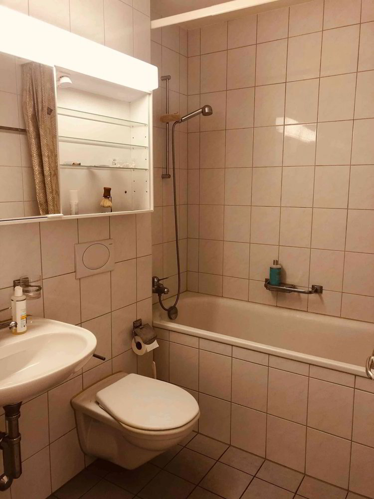 Wohnung – Zürich, Sihlfeld, Wiedikon - Mehr