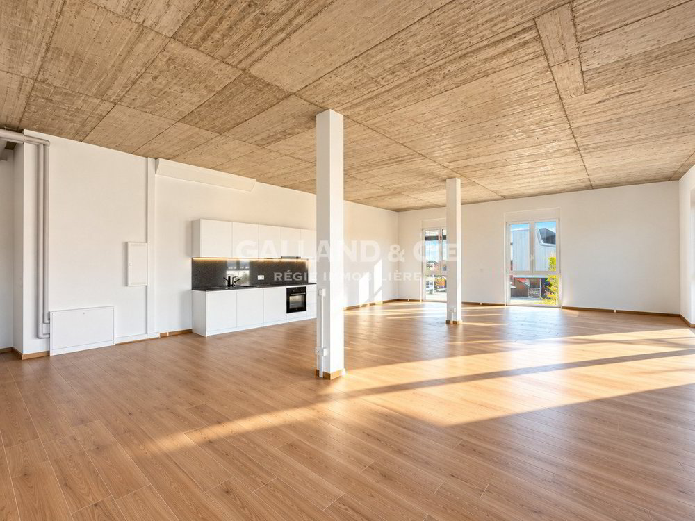 VOTRE FUTUR ESPACE COMMERCIAL À SAINT-AUBIN – 56, 98 OU 105 M2 - Ansicht 3