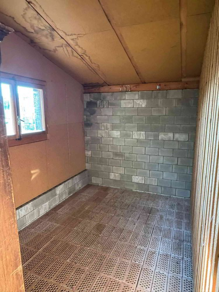 Wohnung – Erlach, Verwaltungskreis Seeland - Ansicht 2