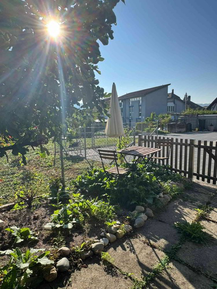 Wohnung – Erlach, Verwaltungskreis Seeland - Ansicht 3