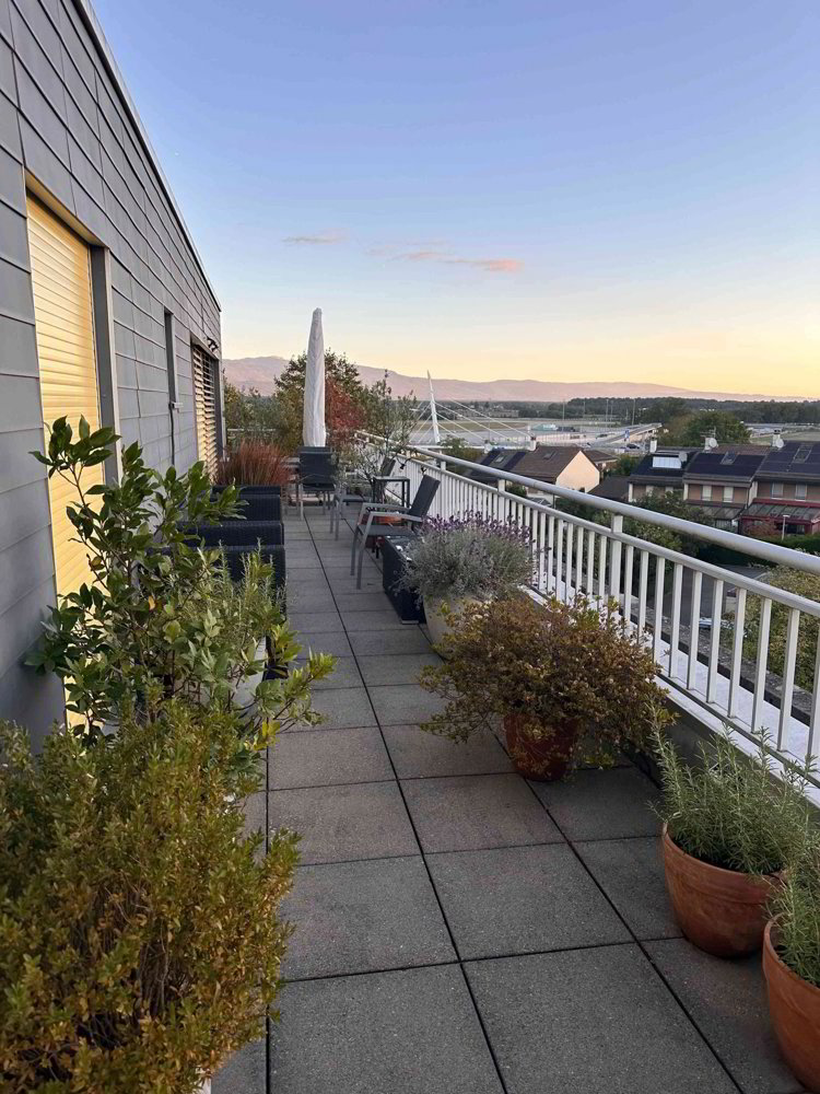 6 rooms Apartment for rent in Le Grand-Saconnex - image 1/9