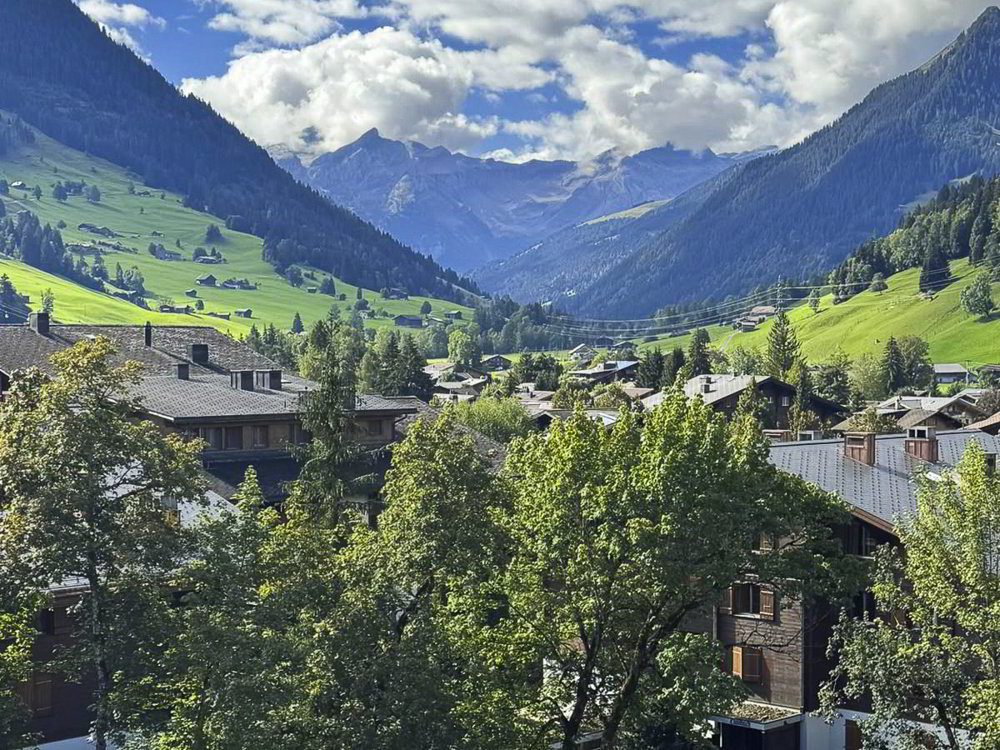 Wohnung – Gstaad - Ansicht 2
