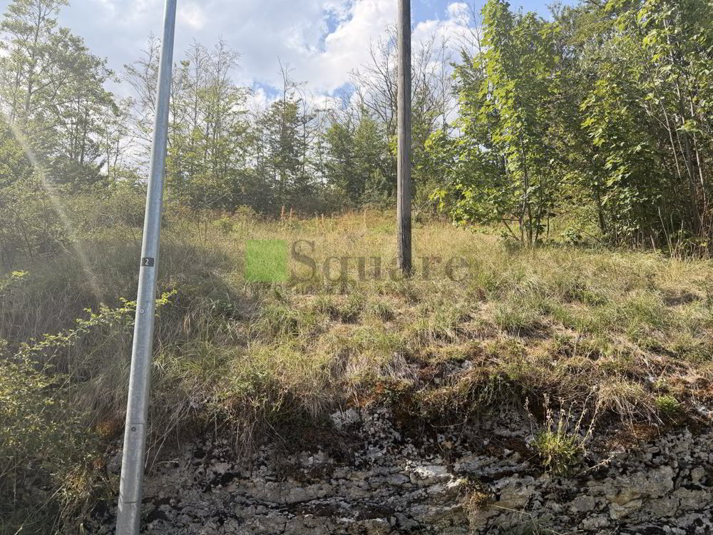 null Zimmer Grundstuck zum verkaufen in Le Sentier - Bild 1/4