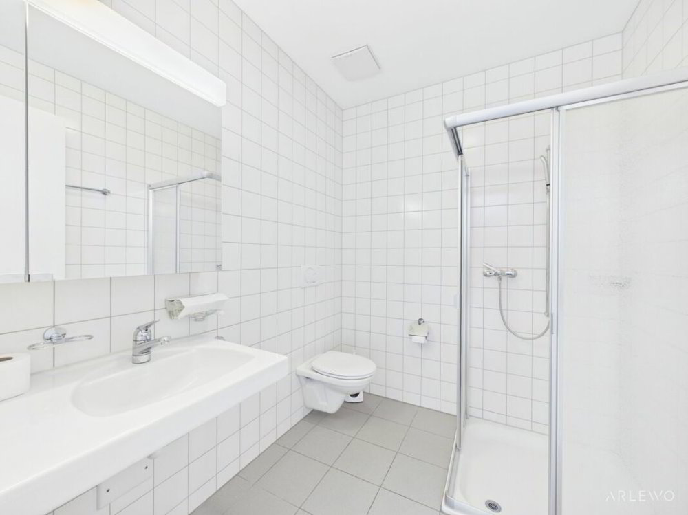 null rooms Office & Commercial for rent in Altdorf UR - image 1/11
