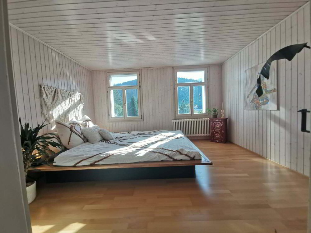Haus – Urnäsch - Ansicht 5