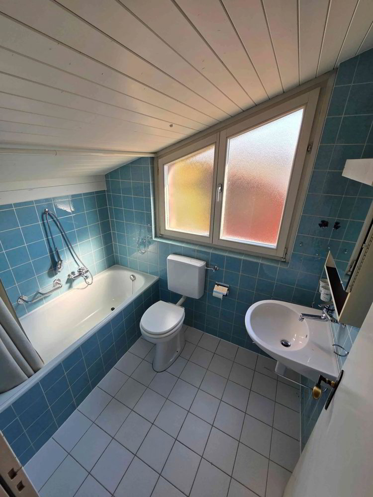 4.5 rooms House for rent in Gelterkinden - image 1/13
