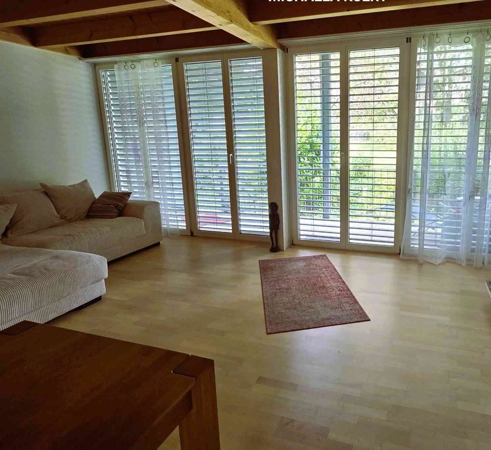 Haus – Witterswil - Mehr