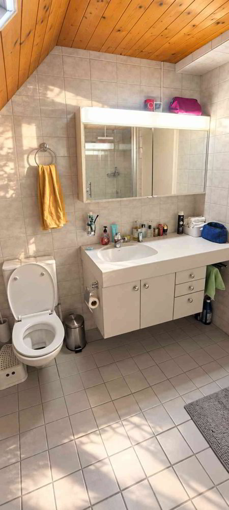 3.5 Zimmer Wohnung zu vermieten in Schafisheim - Bild 1/8