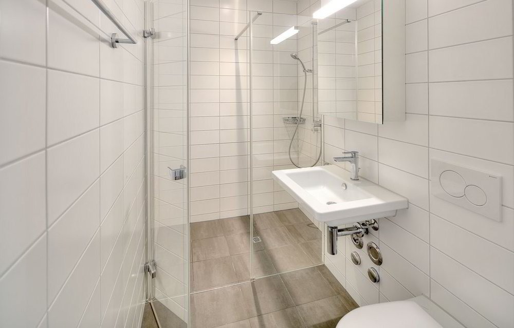 3.5 rooms Apartment for rent in Roggwil BE - image 1/8