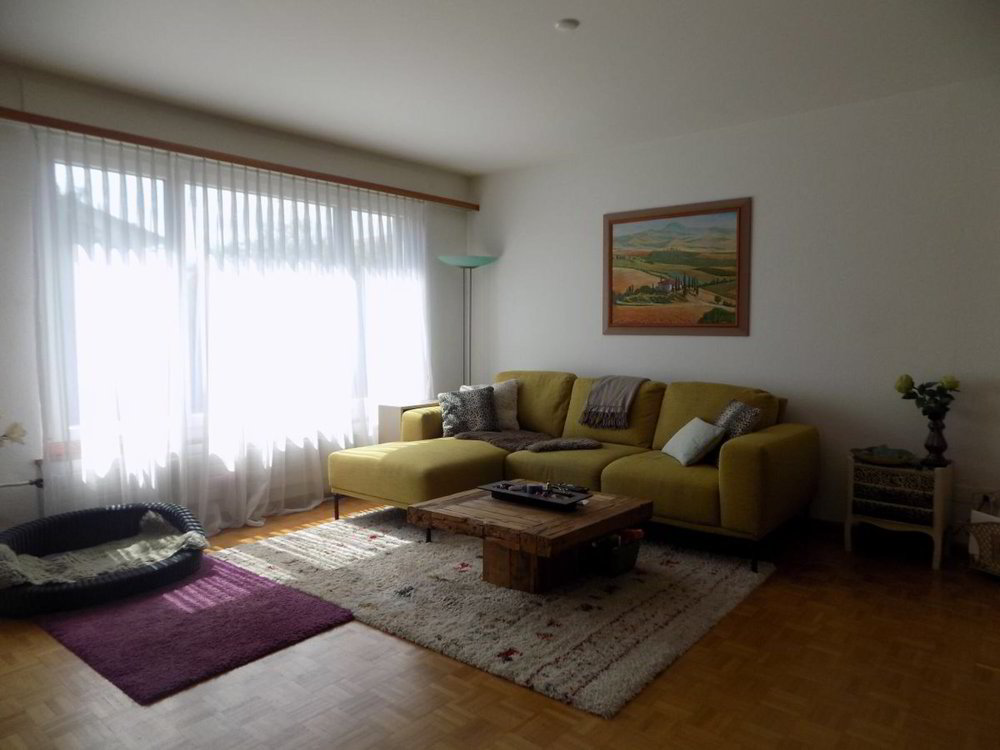 Haus – Möhlin - Ansicht 4