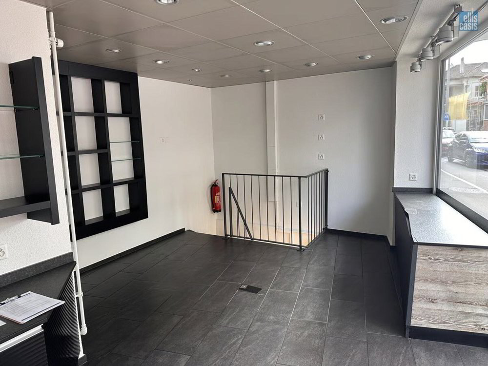 Centre commercial en location à Dietikon - Réf 2508560 - Ansicht 3