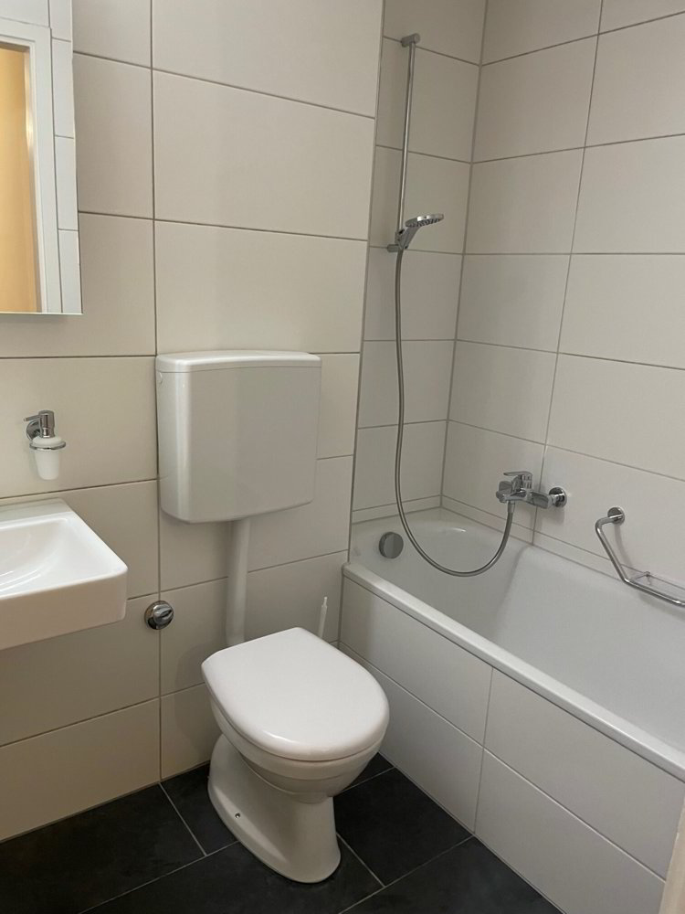 Appartamento di 1 locali in affitto a Binningen - immagine 1/3