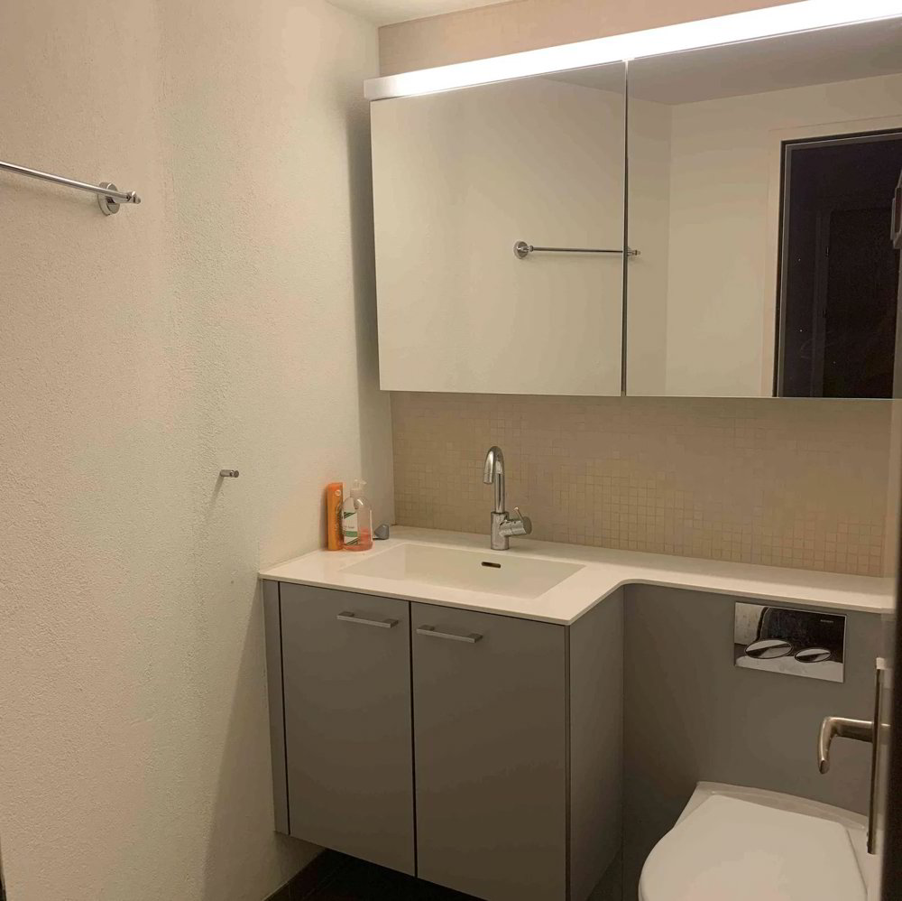 1 rooms Flat-sharing for rent in Zürich - image 1/13