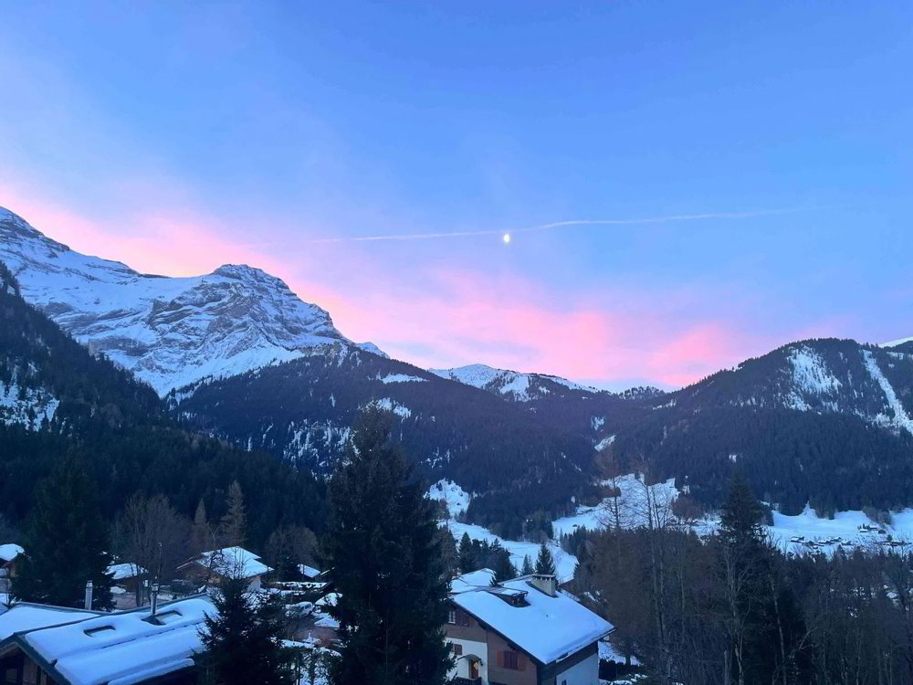 2.5 rooms Apartment to buy in Les Diablerets - image 1/12