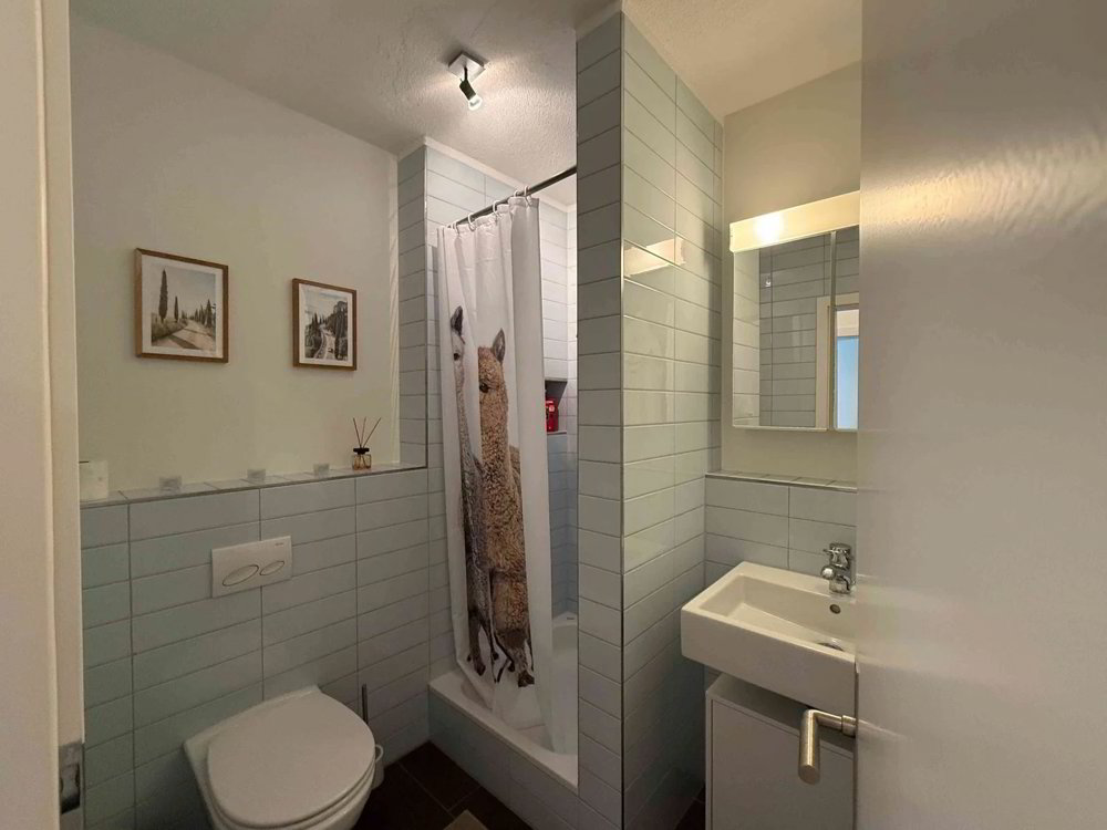 3.5 rooms Apartment for rent in Zürich - image 1/9