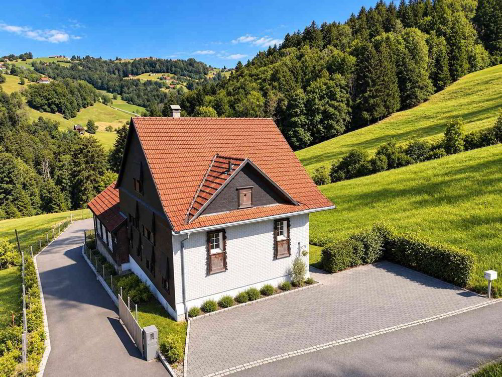 5.5 rooms House to buy in Speicherschwendi - image 1/10