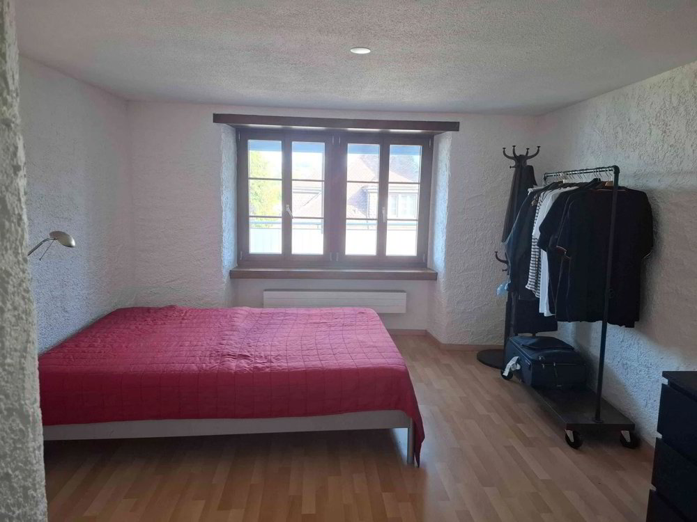 2 rooms Apartment for rent in Rapperswil SG - image 1/7