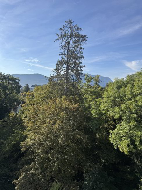 2 rooms Apartment for rent in Chêne-Bougeries - image 1/1