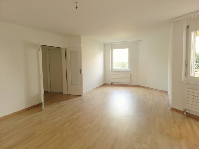 Appartement 2 pièces à louer à Birsfelden - image 1/1