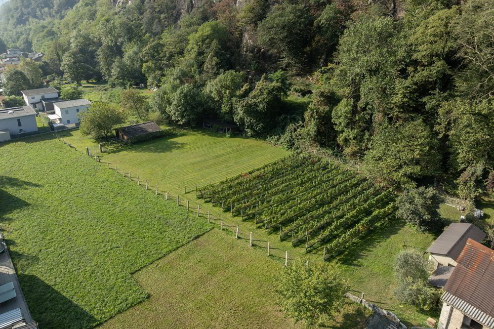 Terreno pianeggiante con ampio potenziale edificatorio - Ansicht 4