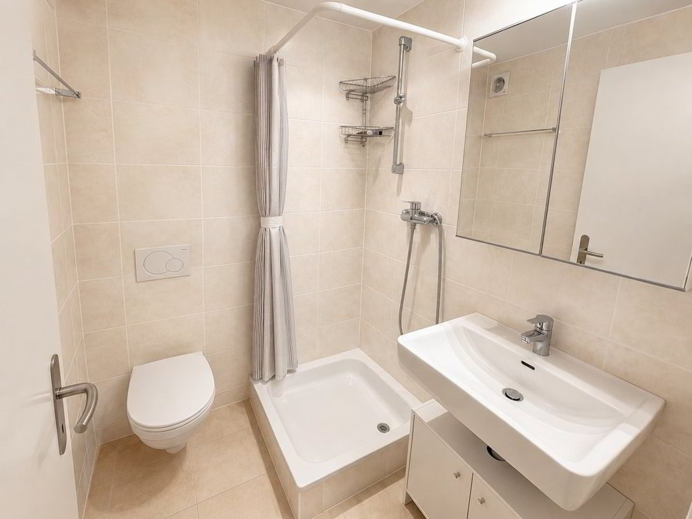 5 rooms House for rent in Carouge GE - image 1/13