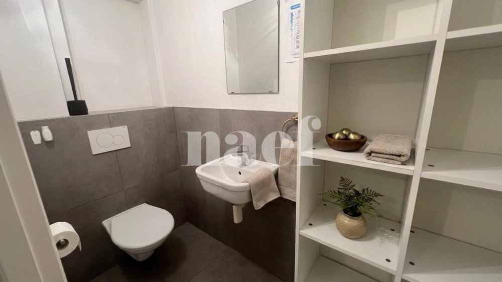 null rooms Office & Commercial for rent in Lausanne - image 1/5