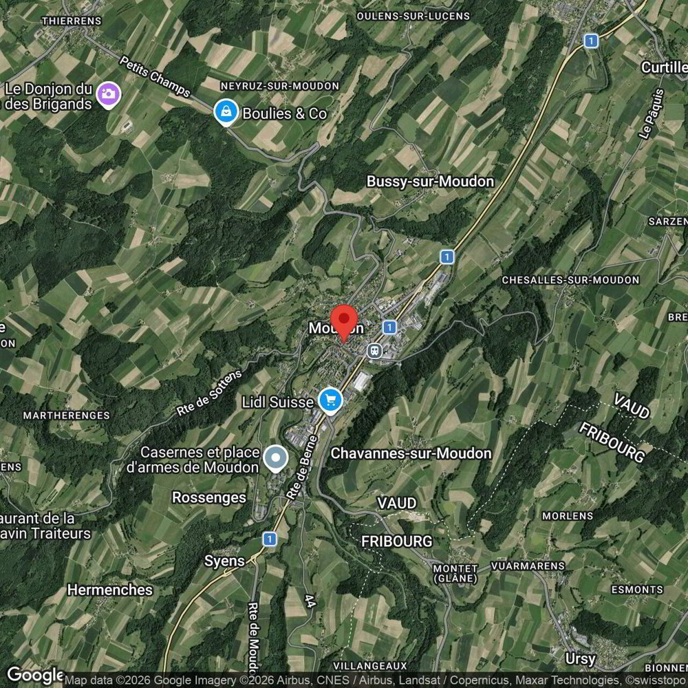 Ufficio & Commercio di null locali in vendita a Moudon - immagine 1/10