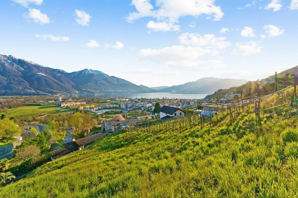 Terrain à bâtir en vente à Gordola - Ansicht 2