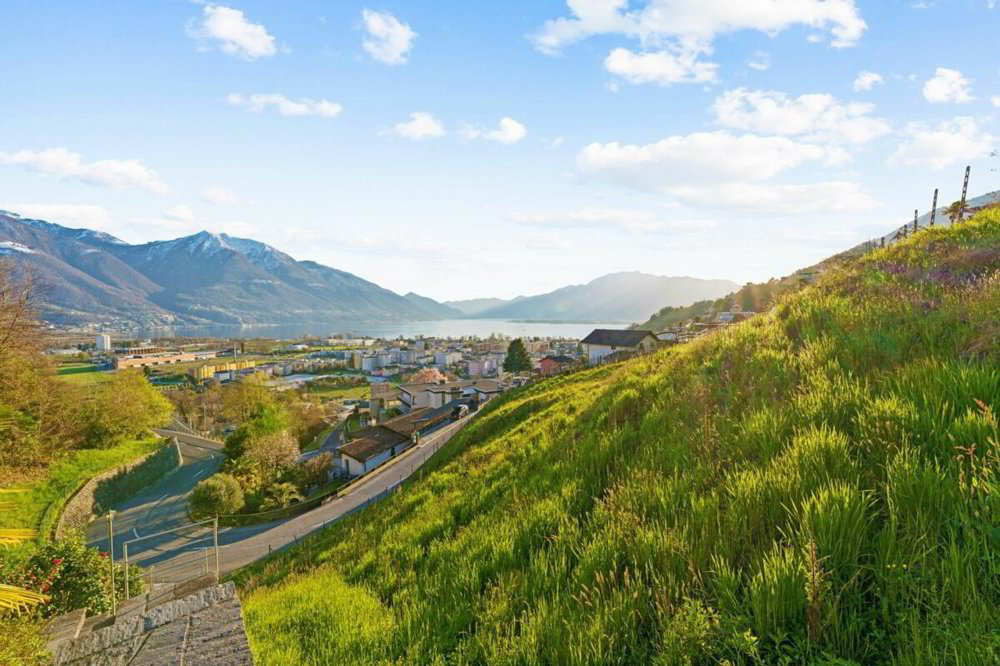Terrain à bâtir en vente à Gordola - Ansicht 3