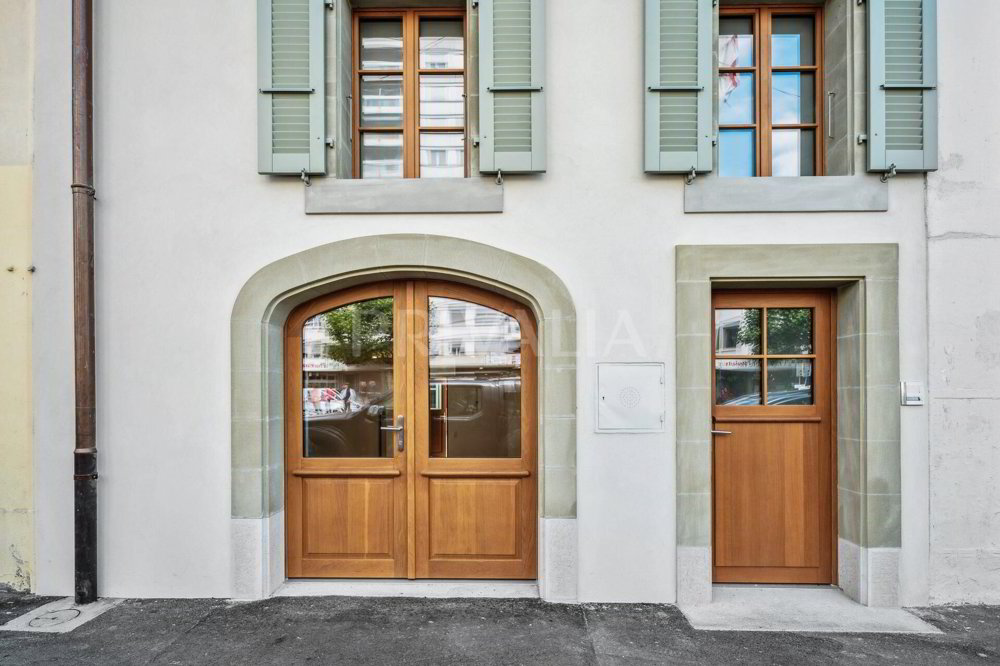 Immeuble mixte en vente à Chêne-Bourg - Réf I2554.9