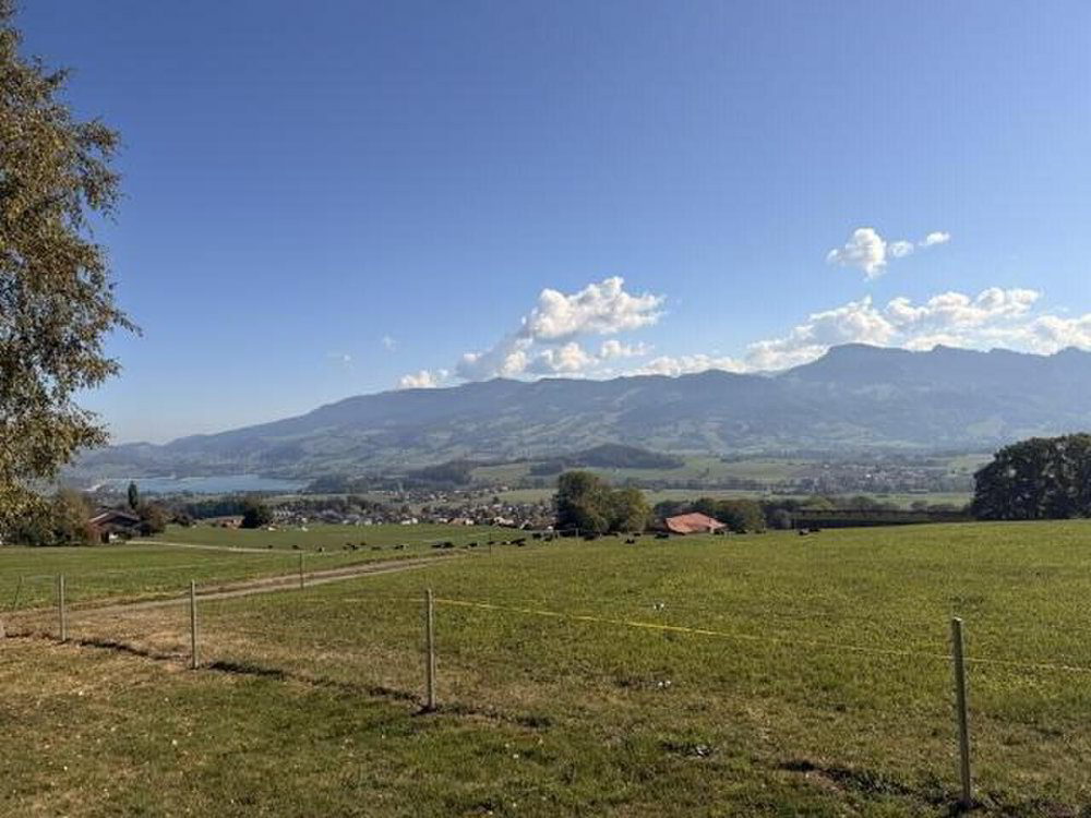 Casa di 5.5 locali in vendita a Marsens - immagine 1/29